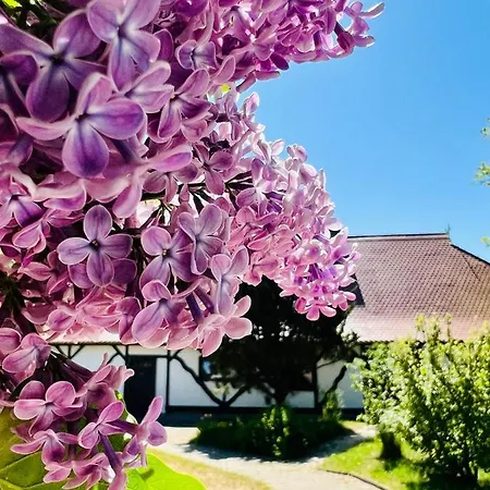 Weinterrassen Apartment